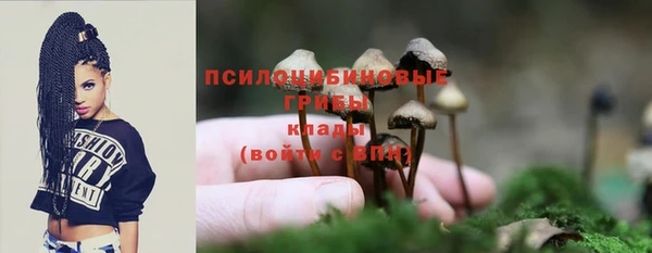 хмурый Алзамай