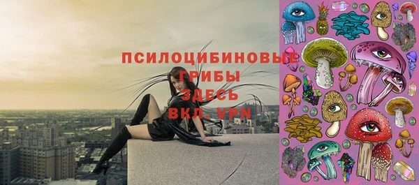 хмурый Алзамай