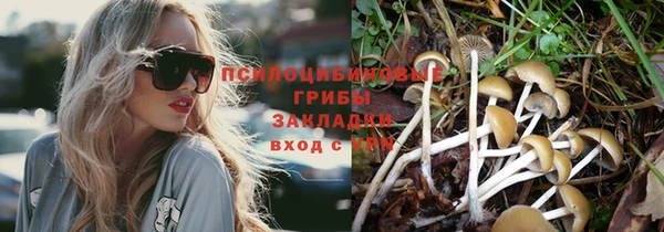 2c-b Алексеевка