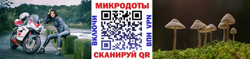 Галлюциногенные грибы мухоморы  закладки  Шимановск 