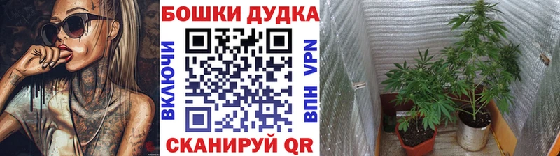 hydra ссылка  Шимановск  Канабис Bruce Banner 